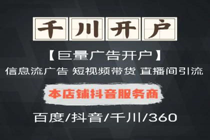 SEO百度推广策略：成功案例解析